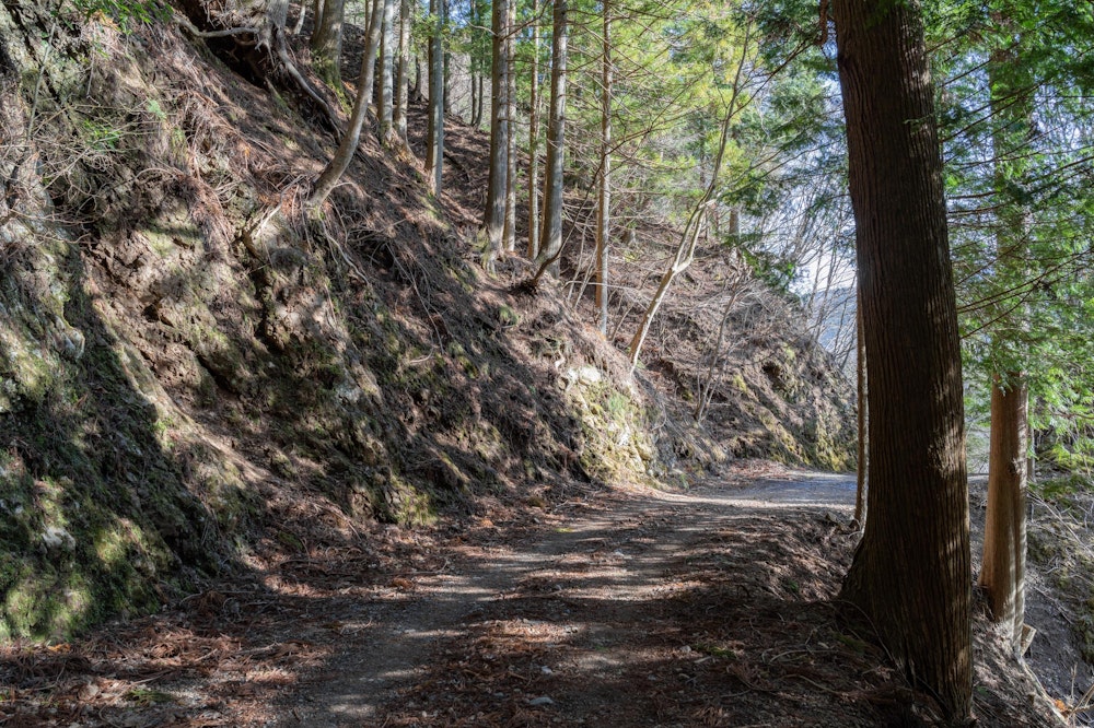 <p>木漏れ日のなかをゆっくりと進み。身延山のふもと、久遠寺の総門のある方へと戻っていく。</p>