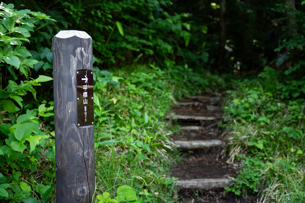 <p>松手山登山口から入山。<br>10 年前の記憶が徐々に蘇る。</p>