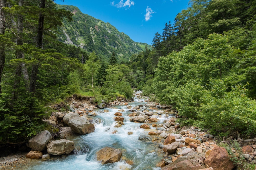 <p>槍沢は、上高地で梓川へと合流する。水がよく透き通っている。</p>