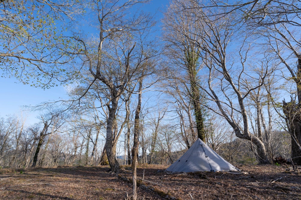 <p>白鳥山を往復して、幕営地に戻ってきた。<br>こんなにもいいところに、誰も来ないのだから最高だ。</p>