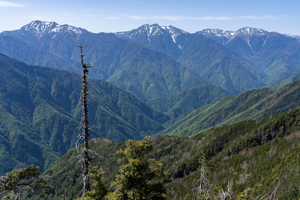 <p>聖岳・赤石岳・荒川岳と南アルプス南部の主役級が連なる。</p>