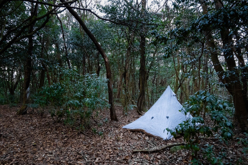 <p>ちょうどテントを張れる場所を見つけたので、ここで幕営。<br>鬱蒼とした樹林帯だが、この季節は虫もおらず快適。</p>