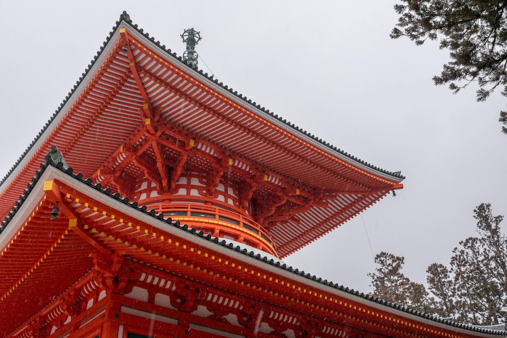 <p>壇上伽藍、高野山で最も大きな建物。<br>金剛峯寺奥之院と並ぶ二大聖地のうちのひとつ。<br>中に入ることもできたが、立体的に表現された曼荼羅に圧倒された。</p>