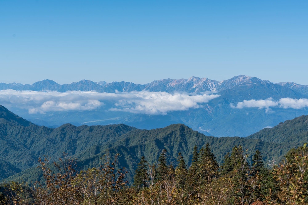 <p>後立山連峰が横並びに見える。<br>先月登ったばかりの白馬岳が右端だ。</p>