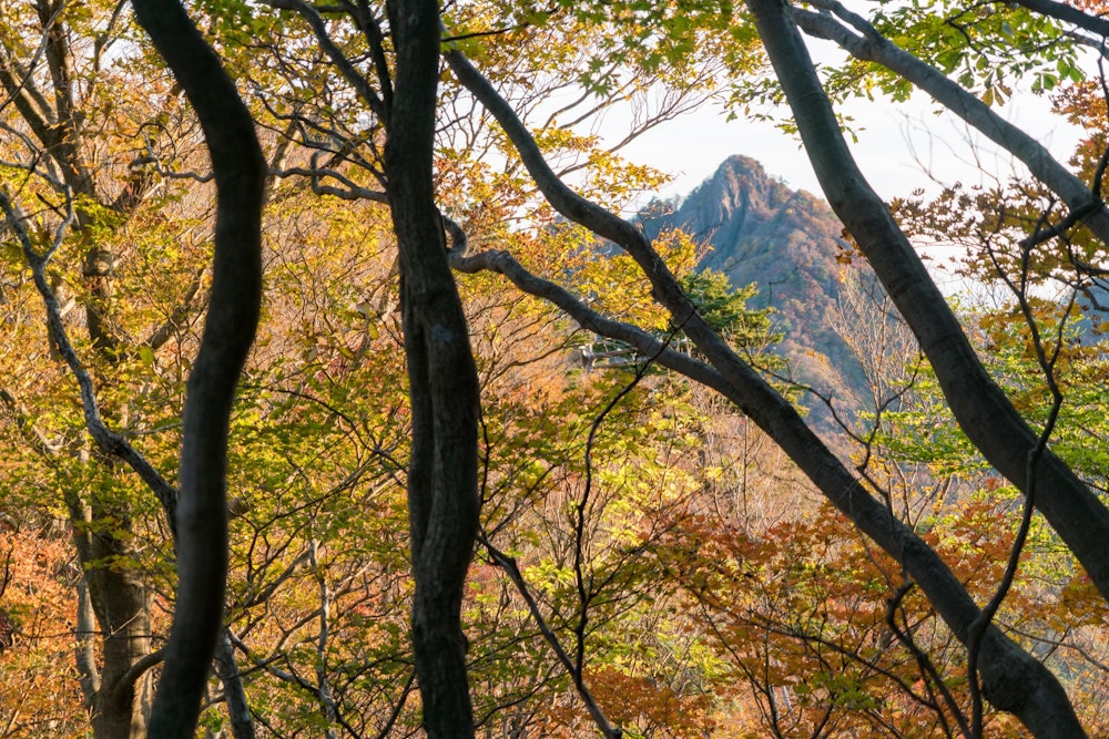 <p>木々の間から、大障子岩がチラッと見える。</p>