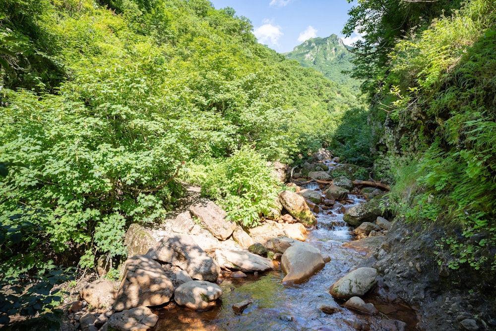 <p>沢沿いの登山道を登っていく。</p>