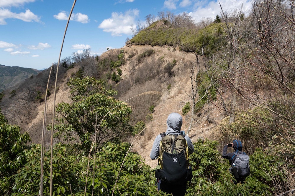 <p>九州脊梁の中腹には、いたるところに古い作業道の跡がある。<br>ウードヤ山から五家宮岳の中間部、このあたりは夏には藪だったが、この時期は綺麗に刈り払われていた。</p>