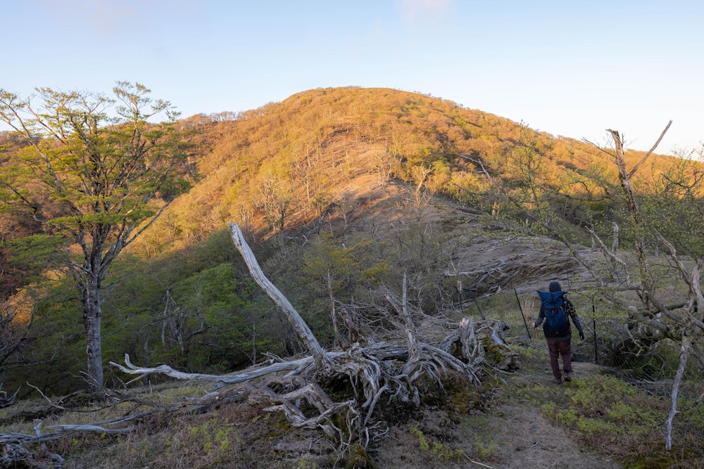 <p>午後 5 時から入山したため、もう日没直前だ。<br>しかしこれも狙ってこの時間に入山している。</p>