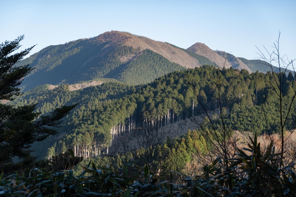 <p>遠く真富士山が見える。まだまだ序盤も序盤だ。</p>