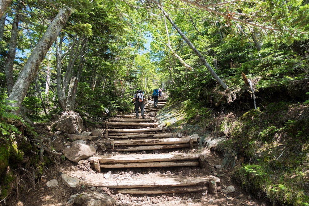 <p>樹林帯の急登をひたすら直登する。<br>登山歴も浅く、真夏の夏のよく晴れた日であったこともあり、とにかくバテた。</p>