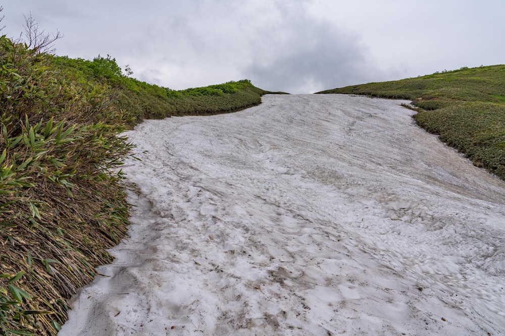 <p>その年の積雪量にもよるが、草履塚の南面は比較的大きな雪渓が残りやすいようだ。<br>今回の行程では、種蒔山を巻くところと、この草履塚の手前がまともに雪渓を歩いた区間になった。<br>雪渓歩き用の装備を持っていなかったので不安だったが、左手の笹藪伝いに歩くことで安全を確保した。<br>登りはまだいいが、明日の帰りはここを下りで通らなければならず、この後それがずっと不安だった。</p>