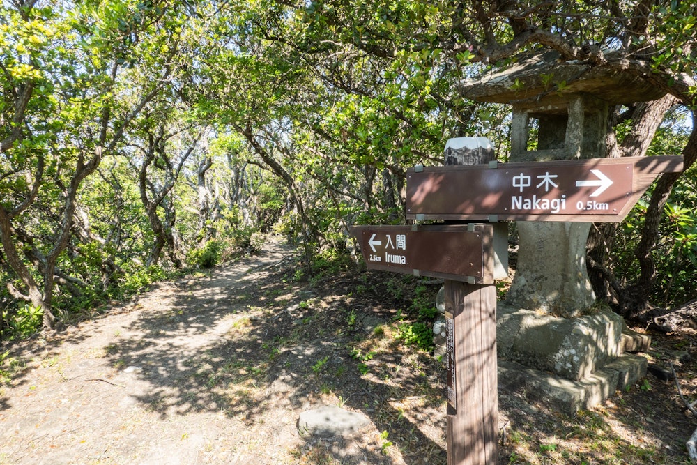 <p>中木と入間の集落の間を結ぶ細いトレイルを進む。<br>南伊豆歩道は、海岸沿いに点在する集落を順につなぐ道となっており、人里が近い安心感がある。</p>