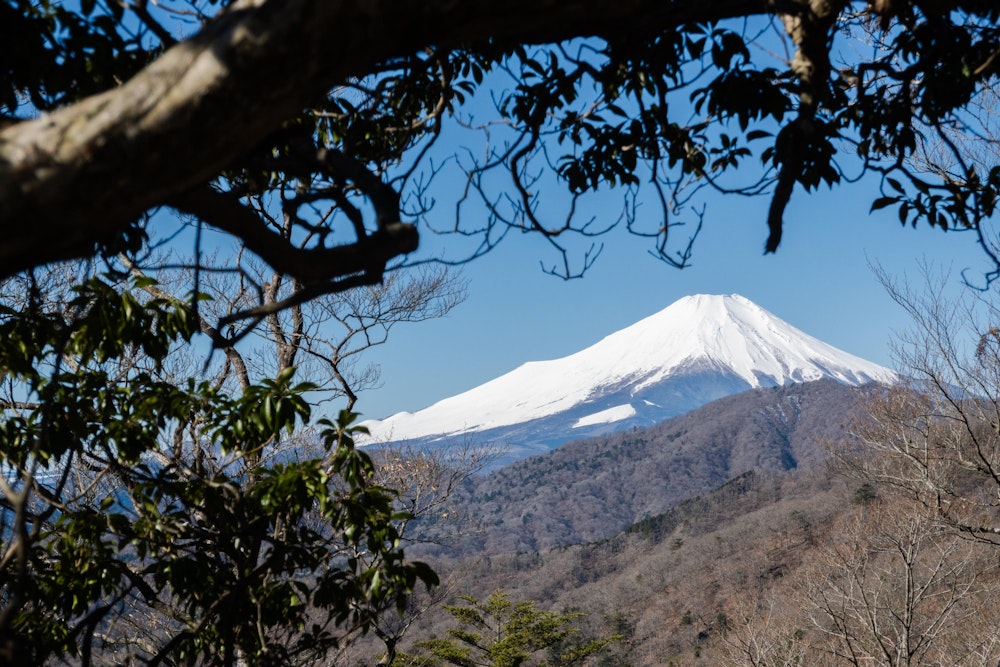 <p>畦ヶ丸の頂上に出たことで西側の景色が開けるようになった。<br>そうなると目に飛び込んでくるのは、雄大なる富士。<br>しっかりと雪をまとった、完全体の姿だった。</p>