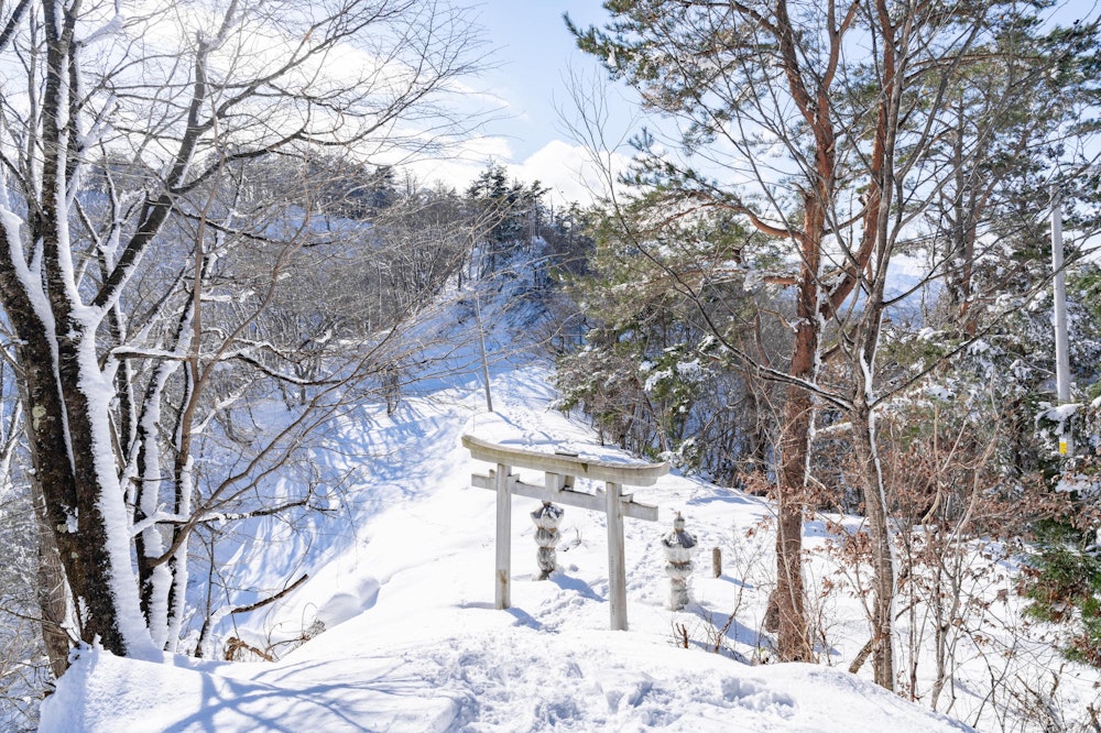 <p>標高差 200m ちょっとも上がれば、羽山神社の鳥居。<br>雪に埋もれているが、実はこの鳥居をくぐった先は林道に合流する。<br>そのため、全体的に平坦で歩きやすい。</p>