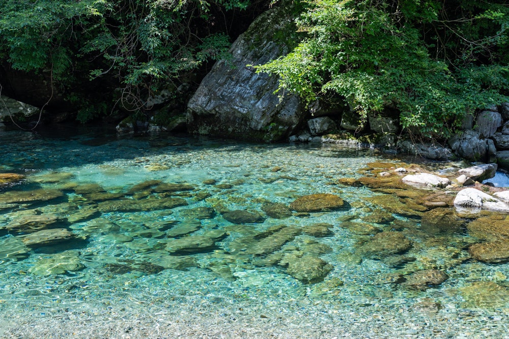 <p>水晶淵の付近。この透明度はすごい。</p>