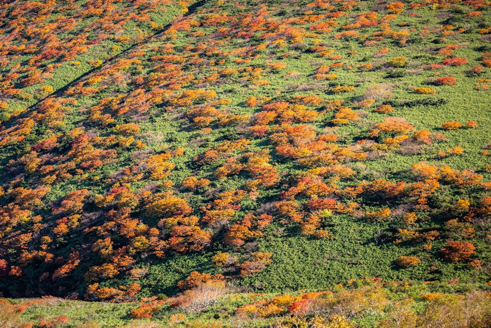 <p>盛岡駅からはレンタカー、アルパこまくさに車を置いてバスに乗り換えて八合目へ。<br>八合目でバスを降りると、目の前にいきなり広がる光景にこの山旅の成功を確信する。<br></p>