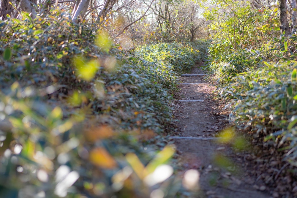<p>コーヒータイムを楽しんだところで、下山していく。</p>