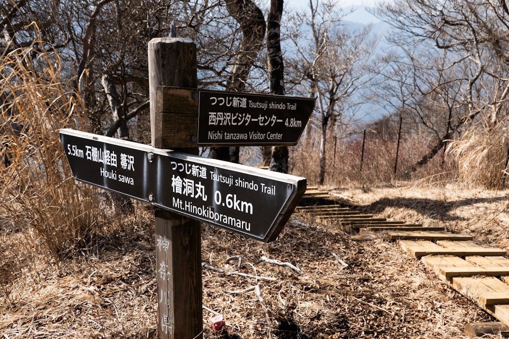 <p>檜洞丸からの下山路は、この分岐から石棚山稜を辿る計画だった。<br>しかしここまで歩いて十分満足しており、また歩きやすい道を使っての下山を優先してつつじ新道を選択。</p>