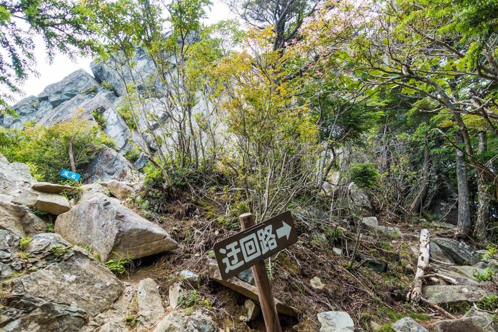 <p>頂上直下のいくつかの鎖場は、下山時には迂回して普通の登山道っぽい道に回ることができる。</p>