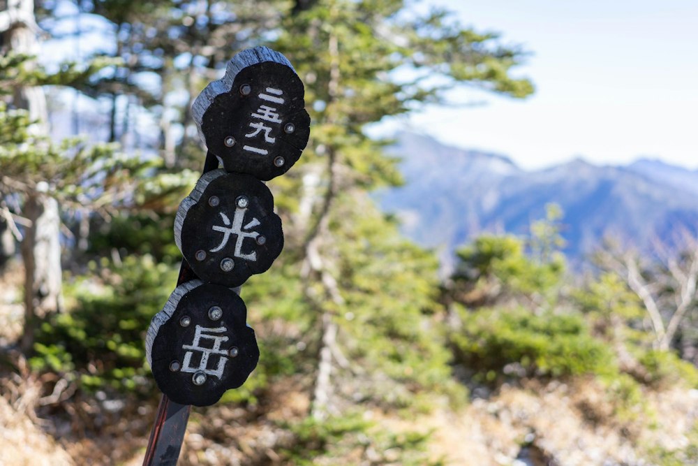 <p>光岳は地味な山だが、魅力あふれる南アルプス深南部という山域を代表として、日本百名山のひとつに選ばれているのだと解釈した。</p>