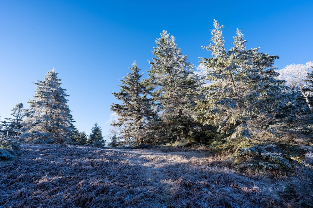 <p>天気はすこぶる良い。空気はとても冷たい。</p>