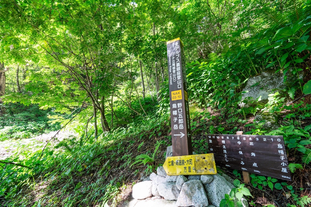 <p>ブナ立尾根を下りきって、高瀬ダムの登山口に到着。<br>登山口からタクシー乗り場まで意外にも 1 時間弱歩いたが、七倉ダムに到着するとすぐにそこで温泉に入れるのは最高だった。<br>そこにデポしておいた同行者の車で、登山を開始した新穂高の鍋平に戻って無事に今回の山行を終えた。<br>間違いなく、今年の夏の大一番と言える大満足の山行となった。</p>