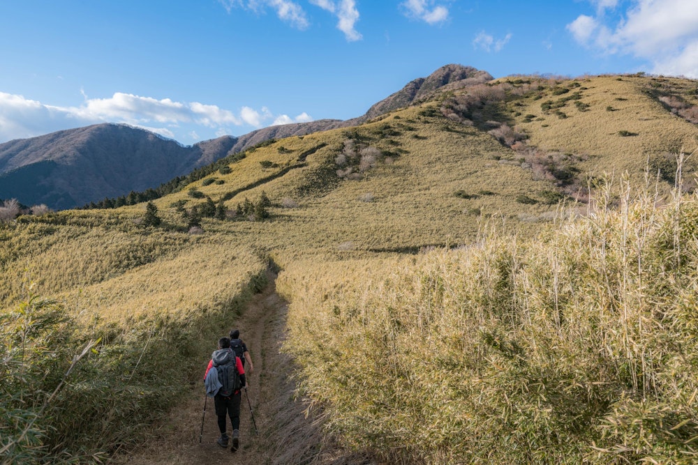 <p>金時山方面への稜線歩き。</p>