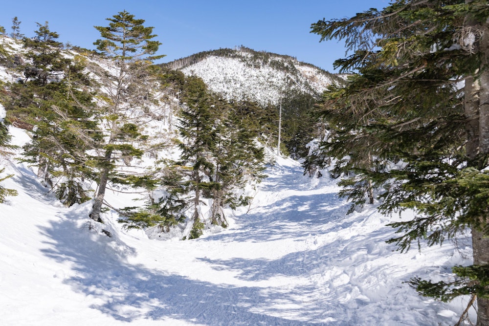 <p>明るい道を進む。<br>登山道に雪はしっかりついているけど、木々の雪は落ちている。しばらく晴れたからな。</p>