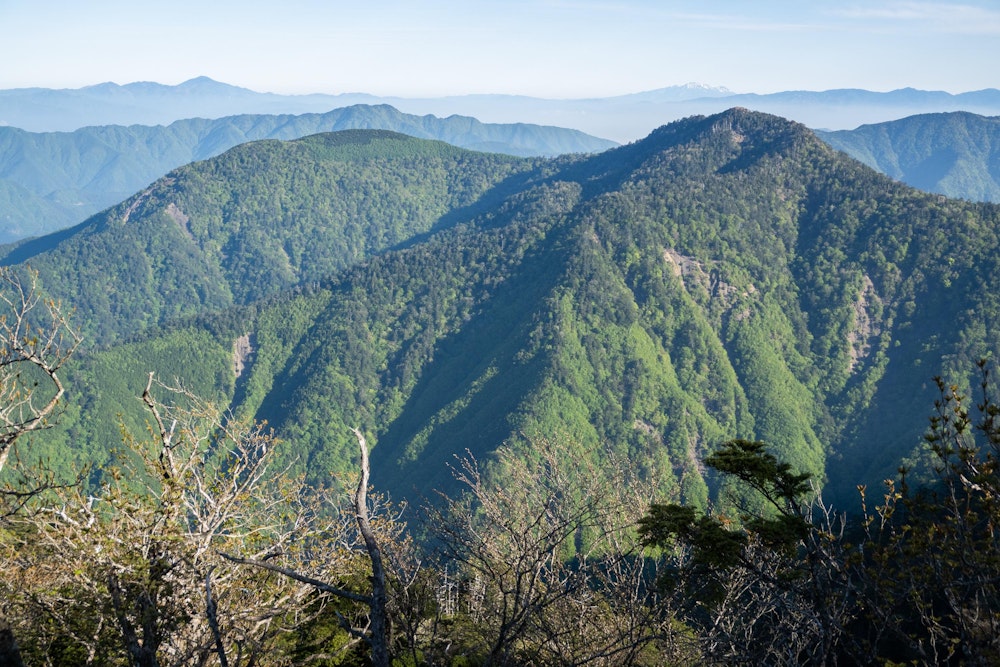<p>バラ谷の頭から望む、東の方向。<br>手前の山は麻布山と前黒法師山。あの尾根を通ってこのバラ谷の頭まで来るルートもある。<br>というか、登山者数としてはそちらからのアプローチの方が多いと思われる。<br>左奥には恵那山、右奥には残雪の光る御嶽山。</p>