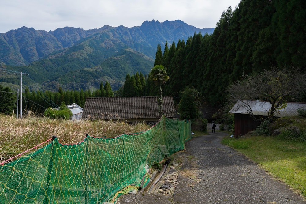 <p>無事に麓の集落まで下りてきた。<br>あとは車を置いてある傾山登山口まで歩けば終了だ。<br>終盤は険しい道のりだったが、総じて穏やかで楽しい道のりだった。<br>紅葉の時期にここを歩けたのはよかった。</p>