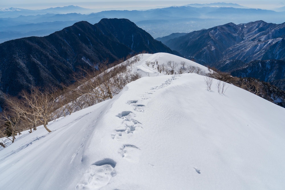<p>昨日の自分の足跡を辿って下山する。<br>これほどの豪華な風景を独り占めできた贅沢は忘れないだろう。<br>体力的にもかなり厳しい登山であったが、それだけのご褒美があった。</p>