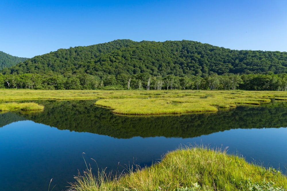 <p>尾瀬ヶ原の風景。風がなく、池塘の水面に風景が映っている。</p>