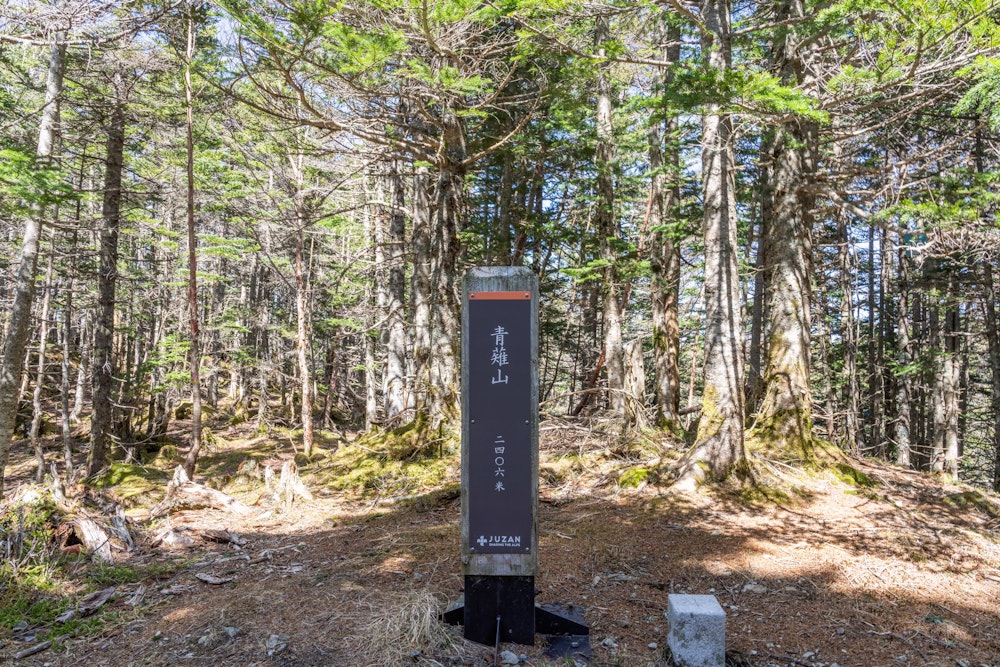<p>登山口から約 1,500m 登ってようやくたどり着いた青薙山。ここまでが長かった。特に展望はない地味な山だが、立派に標柱が立つ。</p>
