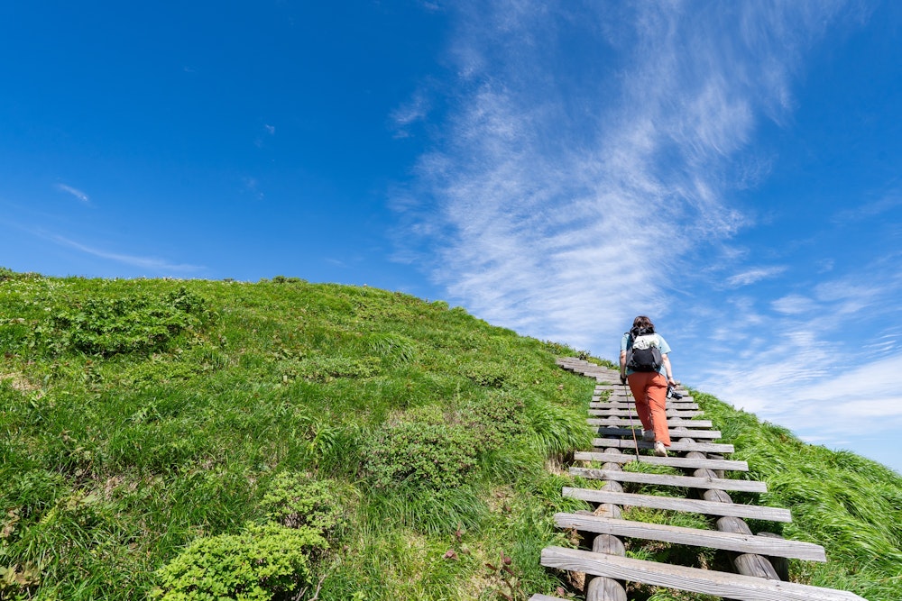 <p>仙ノ倉山への最後の登り。<br>平標山からここまで、思ったよりも距離が長くアップダウンもそれなりで、歩きごたえがあった。<br></p>