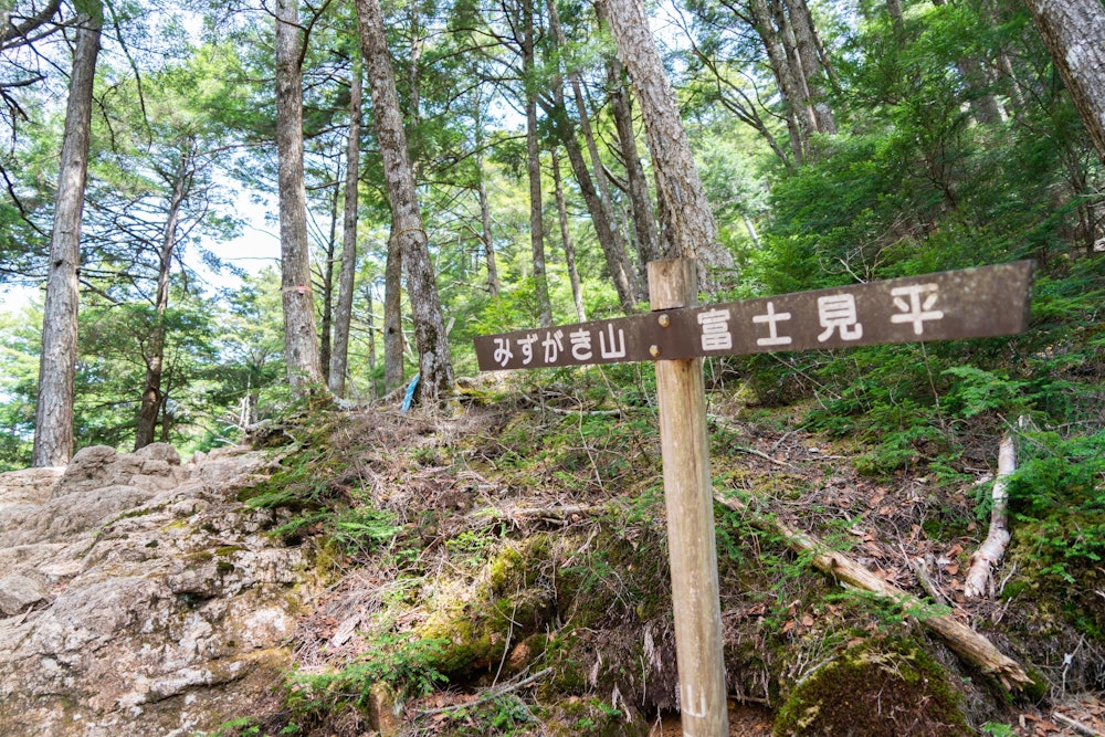 <p>金峰山と瑞牆山の分岐点になっている富士見平に戻り、こんどは瑞牆山を目指す。</p>