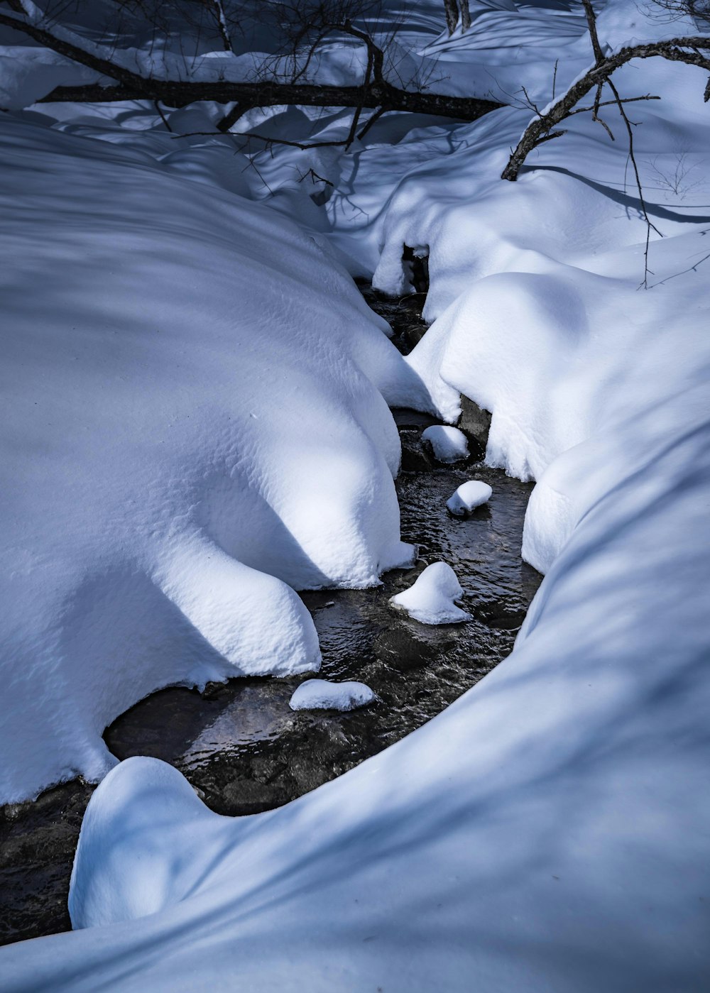 <p>誰の足も踏み入れられていない、ふわふわな新雪の間を流れる小川。<br>信じられないほど透き通っている。</p>