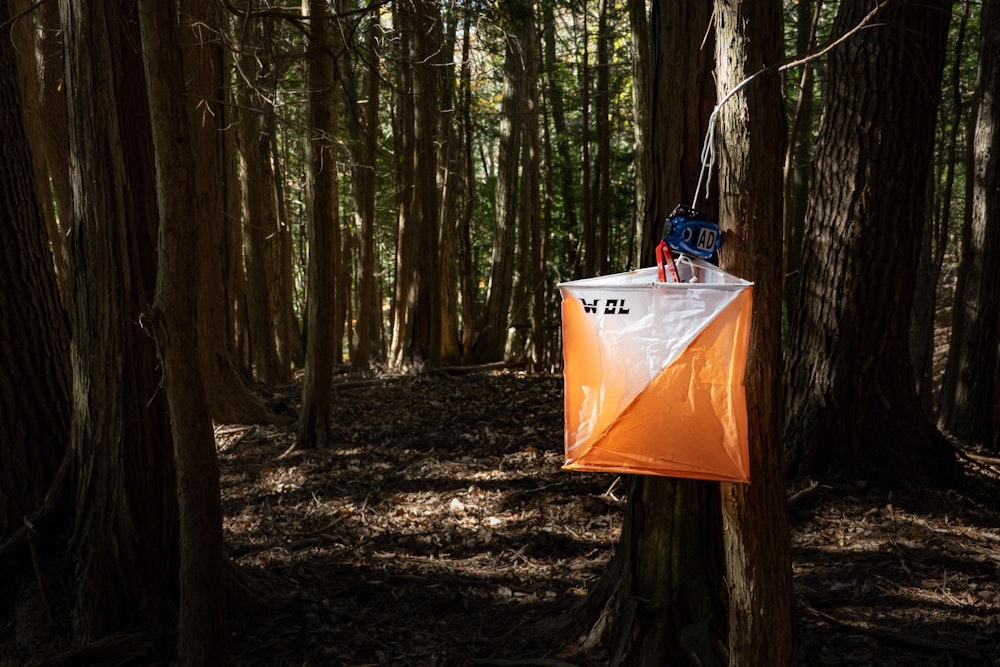 <p>地図とにらめっこしながら山の中を進み、この目印が見えるたびに嬉しい気分になる。</p>