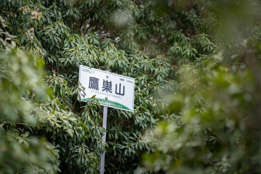 <p>アセビに覆われた鷹巣山頂上。</p>