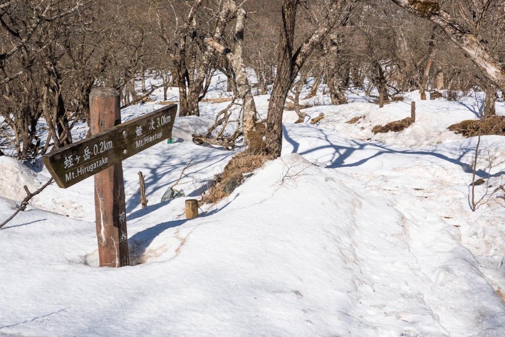 <p>日の当たらない北面は雪がしっかり残っている部分がある。<br>蛭ヶ岳の頂上直下北面は特にそれが顕著で、軽アイゼンを何度か脱ぎ履きして通過した。<br>今回使用の12リットルの小さいパックでは、軽アイゼンの有無も荷物総量を大きく左右する要素になるが、持参してよかった。</p>