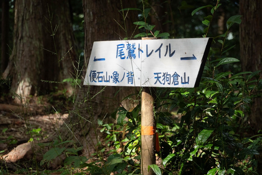 <p>馬越峠が分岐点となって、天狗倉山と便石山に続く道へとそれぞれ分かれる。<br>いずれの山も絶景を楽しめる山ではあるが、今回は象ノ背からの景色を目当てに便石山へと向かった。</p>
