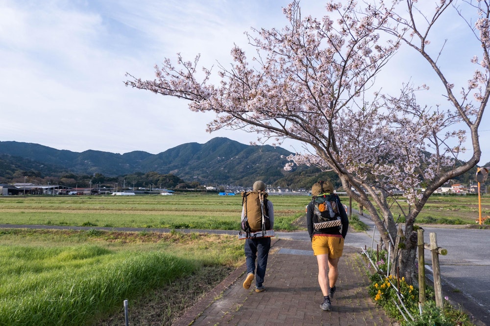 <p>福吉駅から、桜を見ながら十坊山を目指す。</p>