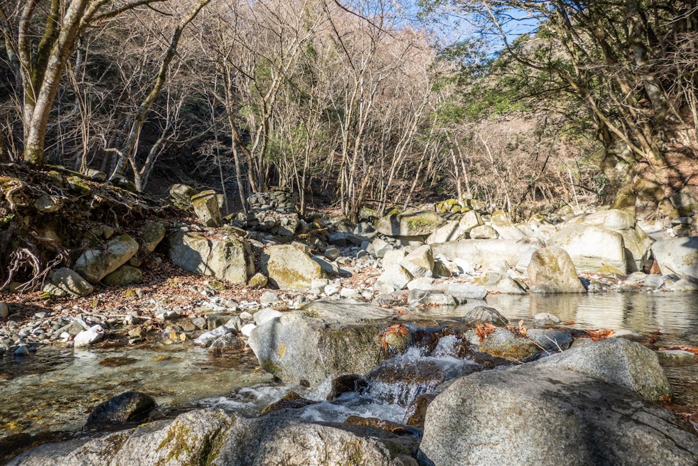<p>西沢沿いに標高を上げていく。<br>本棚などの丹沢山地随一の滝が見られるルートだが、今回は滝の見物は省略。<br>沢の水は透き通っていて綺麗だ。</p>