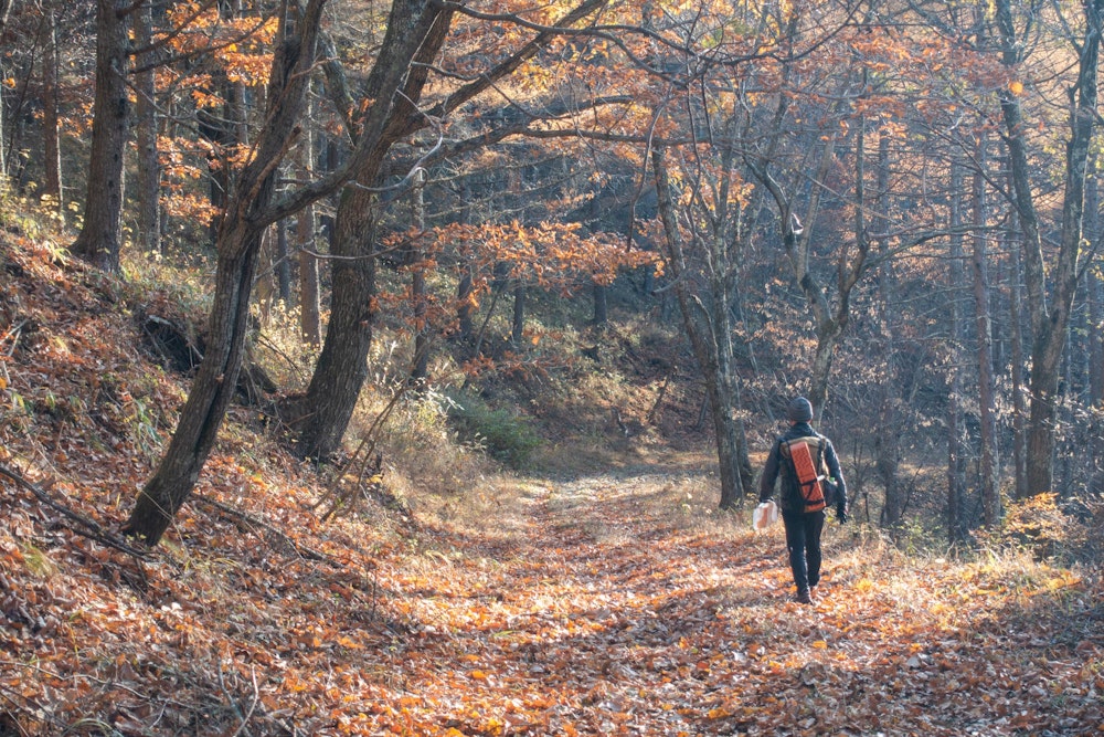 <p>急斜面の藪、役目を終えた林道、霧ヶ峰を普通にハイキングで訪れれば決して辿ることのない道を、縦横無尽に駆け巡る。</p>