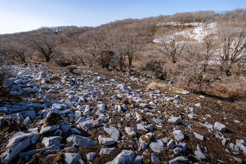 <p>なだらかな地形に、カルストの花崗岩帯と広葉樹の樹林帯が共存する。</p>