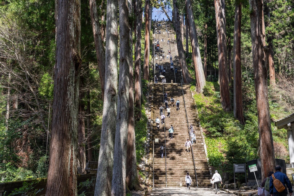 <p>門をくぐれば、参拝者も悟りに至る長い階段「菩提梯」が立ちはだかる。<br>山に登り慣れていないであろう多くの参拝客は息を荒げながらゆっくりと登っていた。</p>