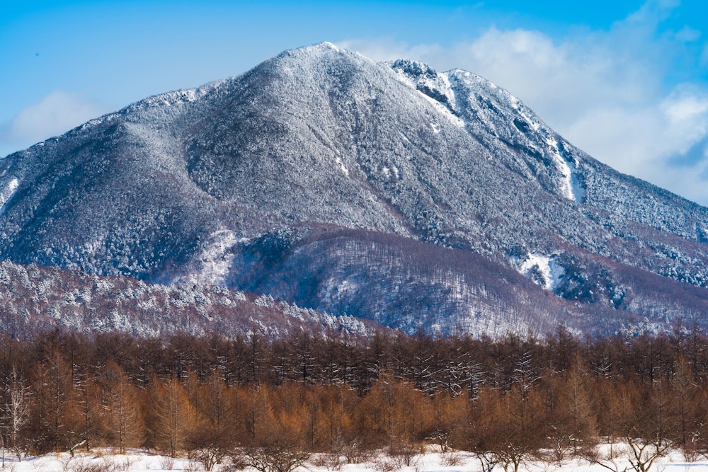 <p>雪化粧の太郎山。</p>