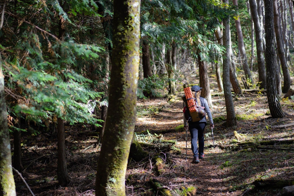 <p>爽やかな樹林帯の尾根を進む。</p>