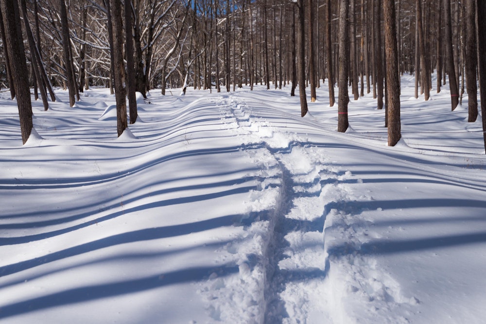 <p>弓張峠から車道を逸れて、外山沢に沿って庵滝を目指して樹林帯に入っていく。<br>すでにけっこうな人が入っているようで、トレースばっちり。</p>