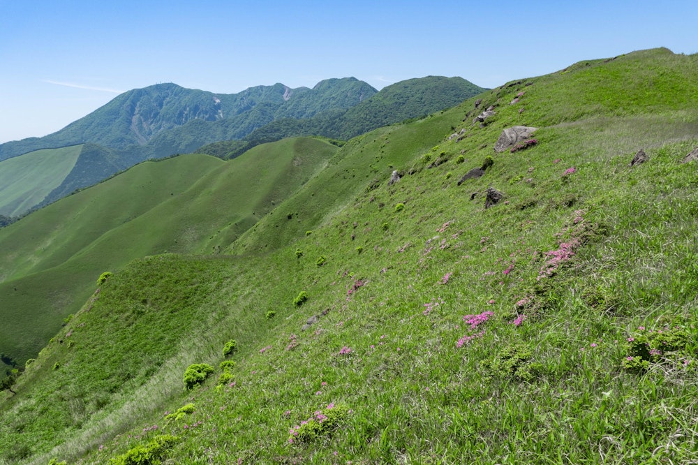 <p>辿ってきた鶴見岳と、そこから連なる山々。<br>こうしてみると、連山になっているのがよくわかる。</p>
