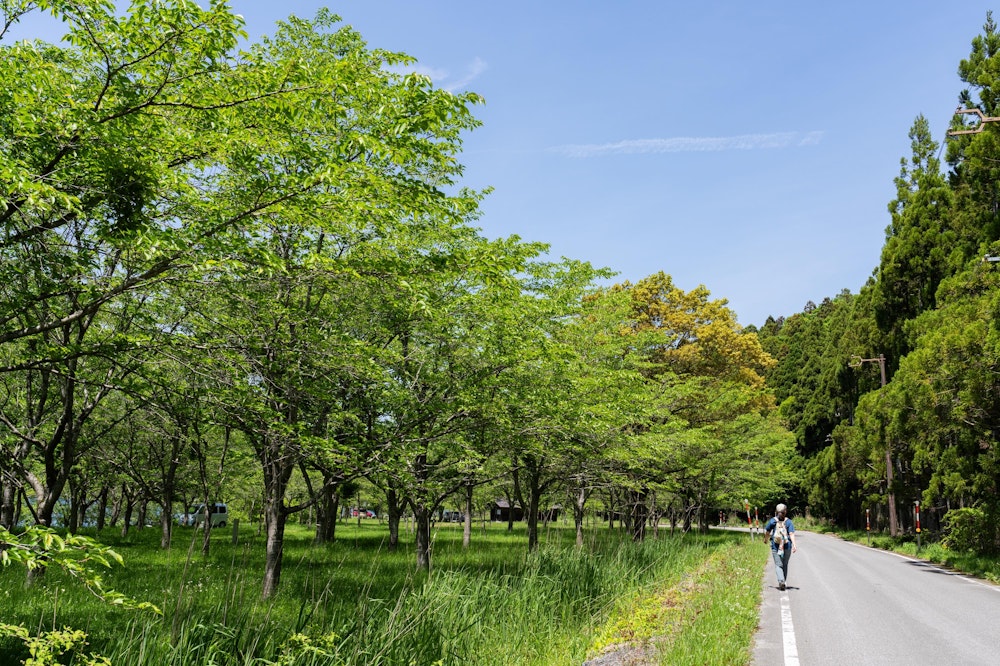 <p>余呉湖の風景を楽しみながら、路肩を歩いて入山口まで戻った。<br>想像以上に鮮やかな新緑と、アップダウンが少なく歩きやすい尾根道など、余呉湖の魅力に取り憑かれた半日だった。</p>